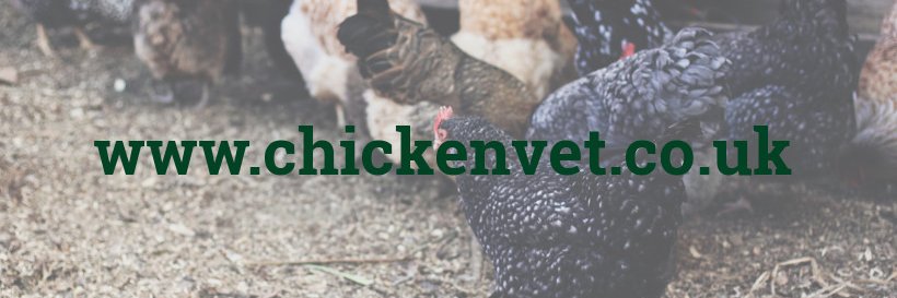 The Chicken Vet banner
