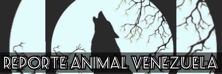 Reporte Animal Venezuela banner