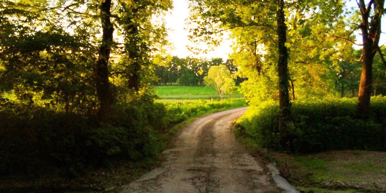rbungart's profile banner image