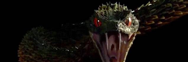 anxsh's profile banner image