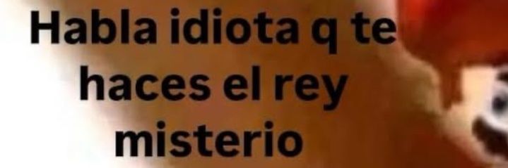 lucia bertoia banner