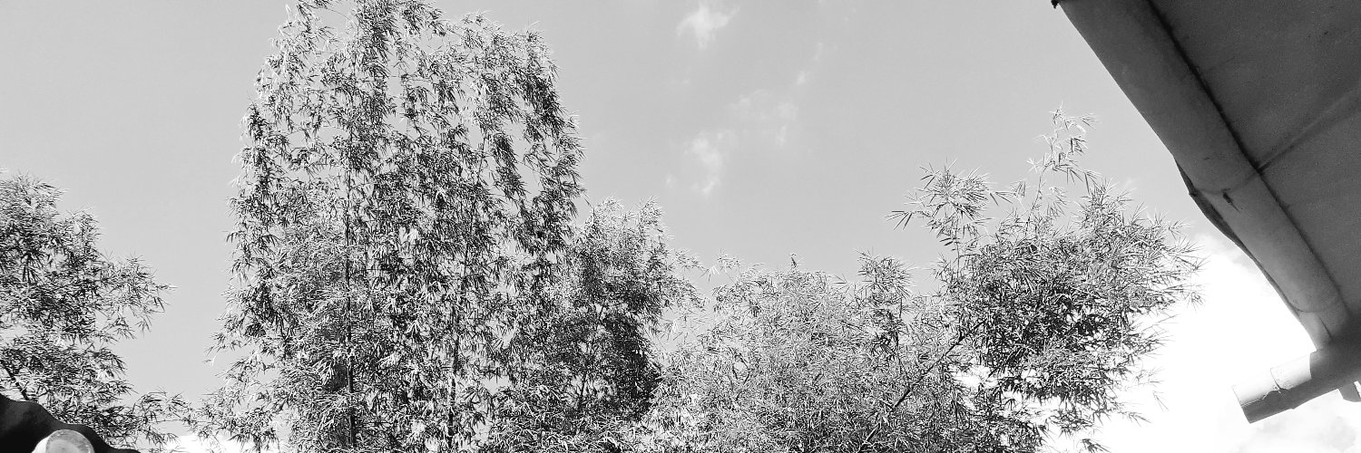 RyanHealer's profile banner image
