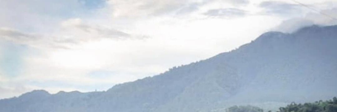 Mas4lter's profile banner image
