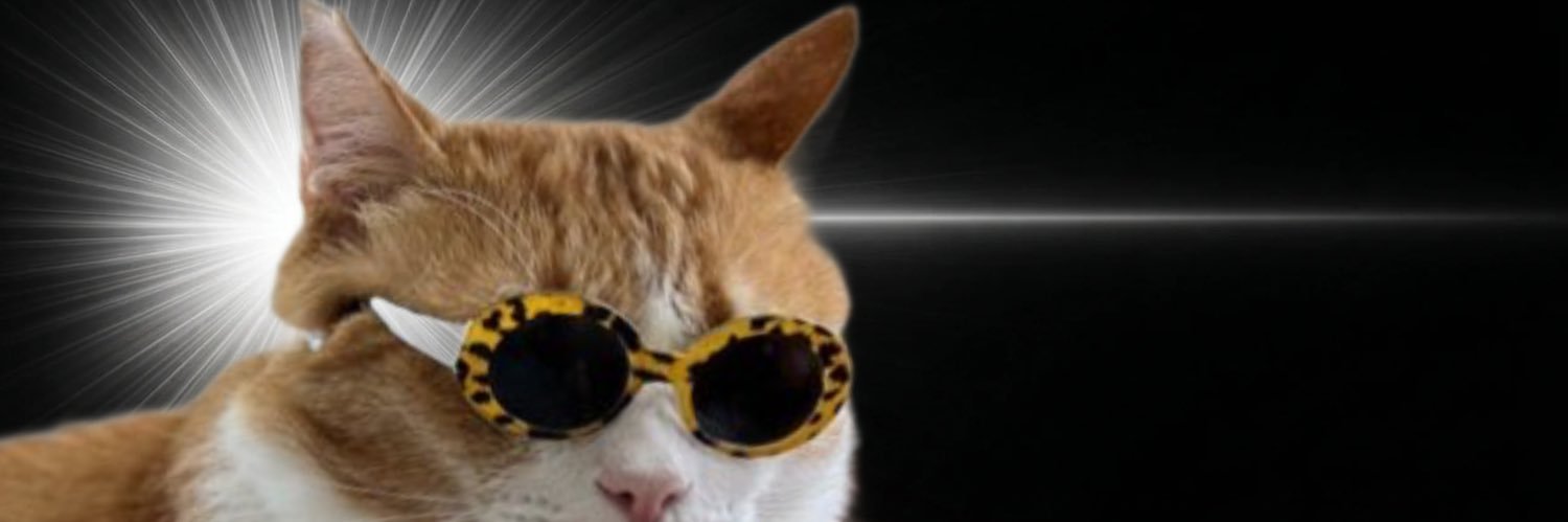 choco_chocolat's profile banner image