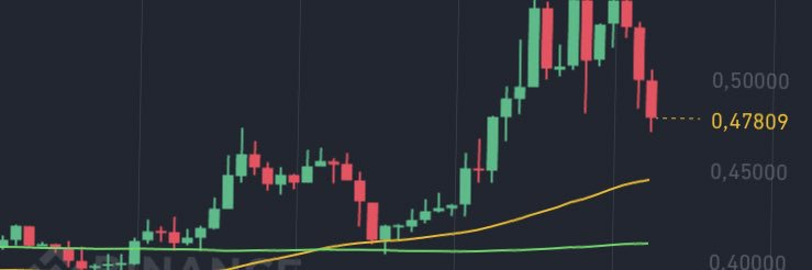 coinci baba banner