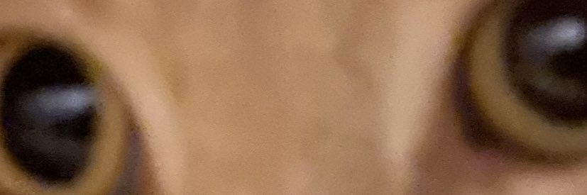Sleysixtucoco's profile banner image