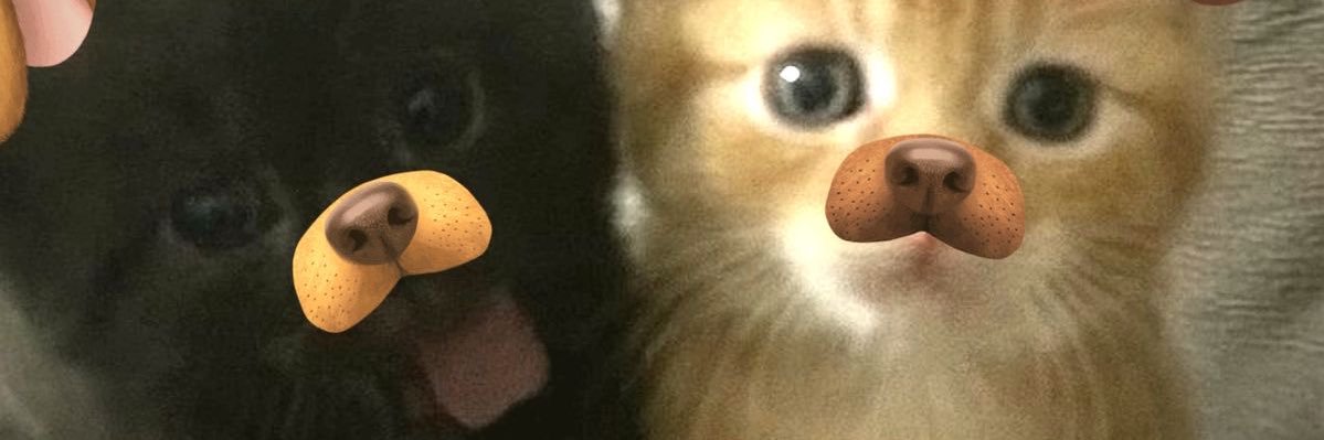 mokiichiiee's profile banner image