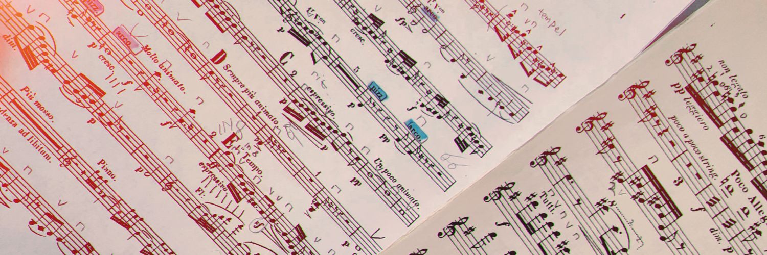 Ara🍓🐰🥟 banner