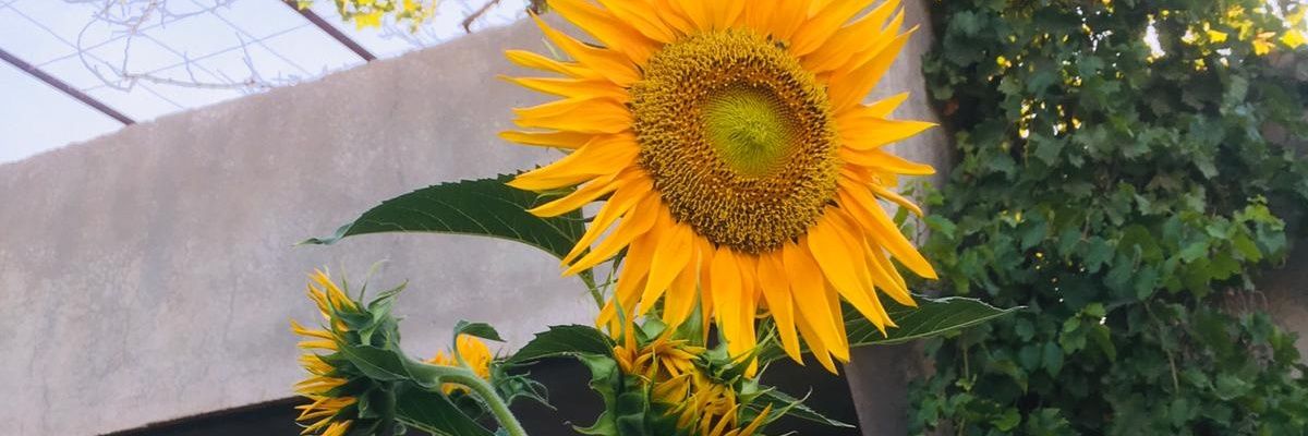 payammdgr's profile banner image