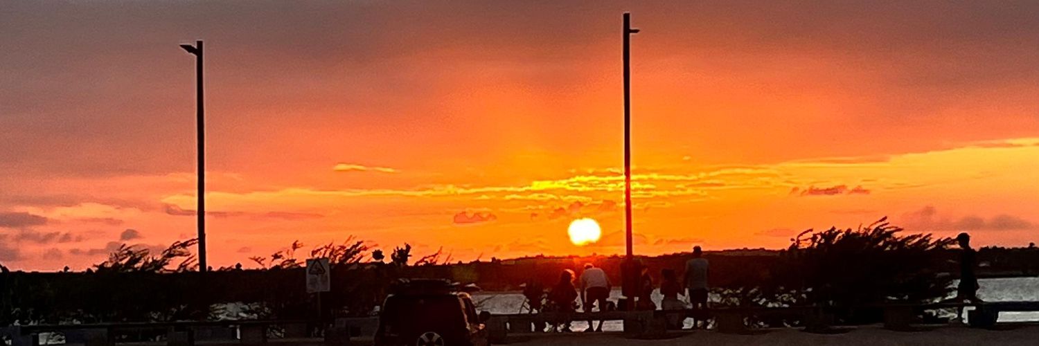 laninhawx's profile banner image