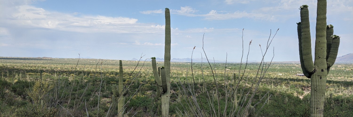 Melissa Flores banner