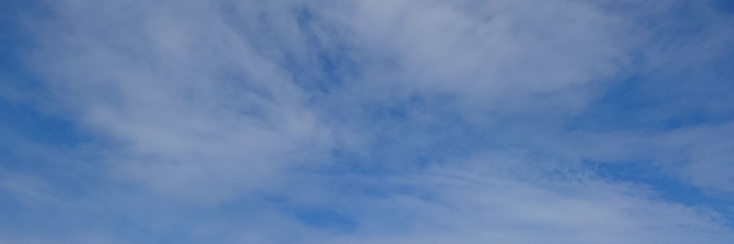 berumi's profile banner image