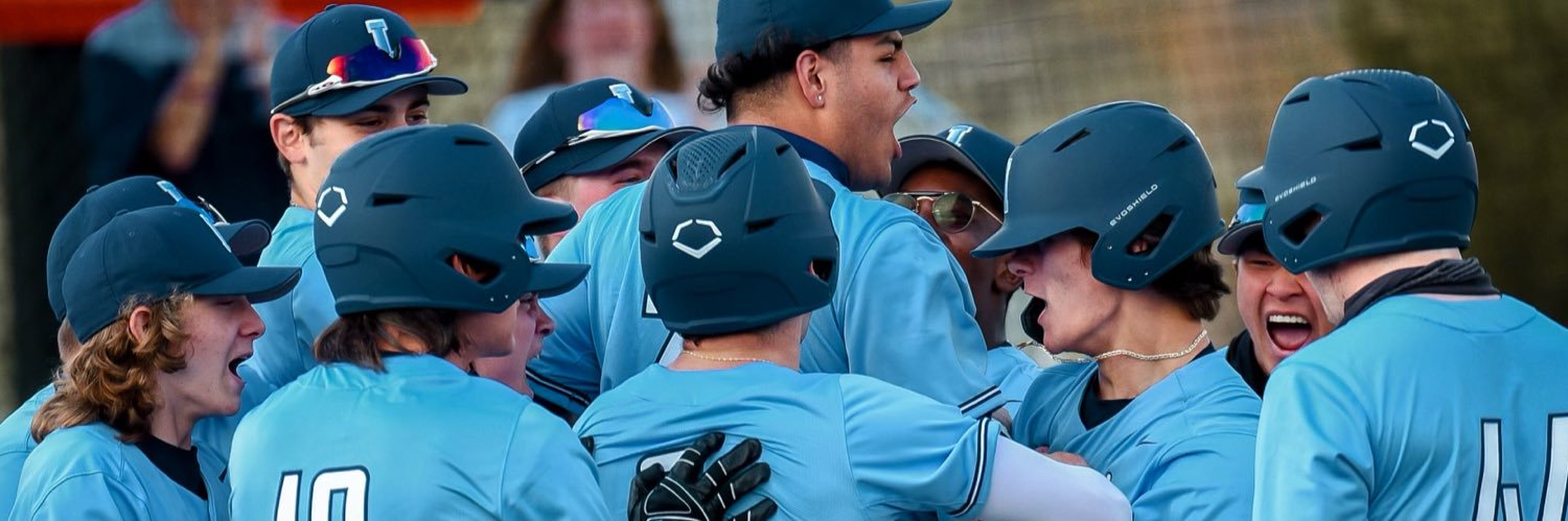 Immaculata Baseball banner