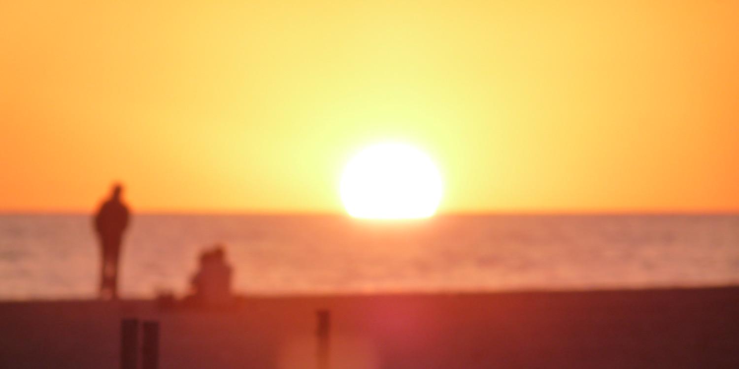 omarnafousi's profile banner image