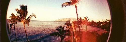 Tipas banner