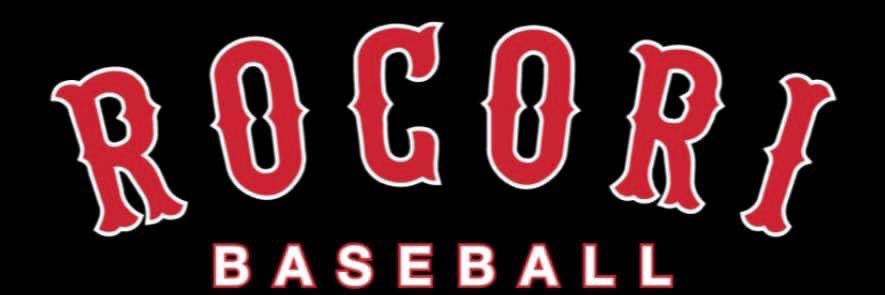 ROCORI Baseball banner