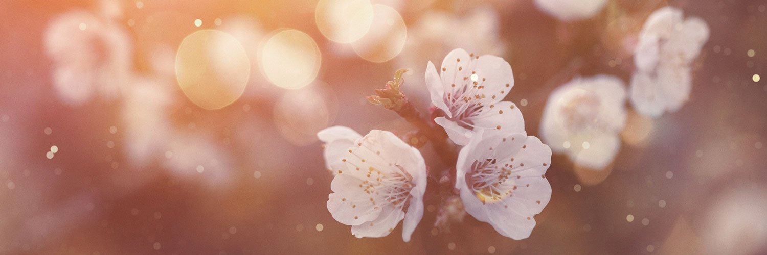 Groupalia Italia banner