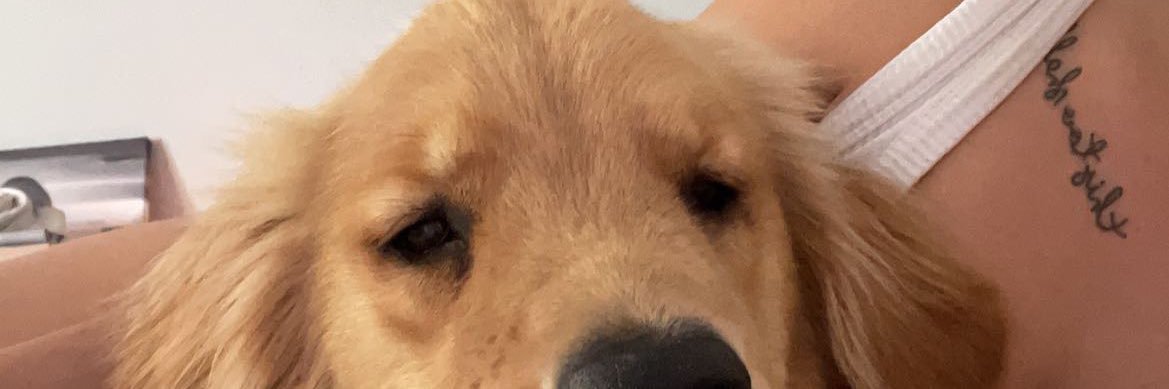 Jadehummmmel's profile banner image