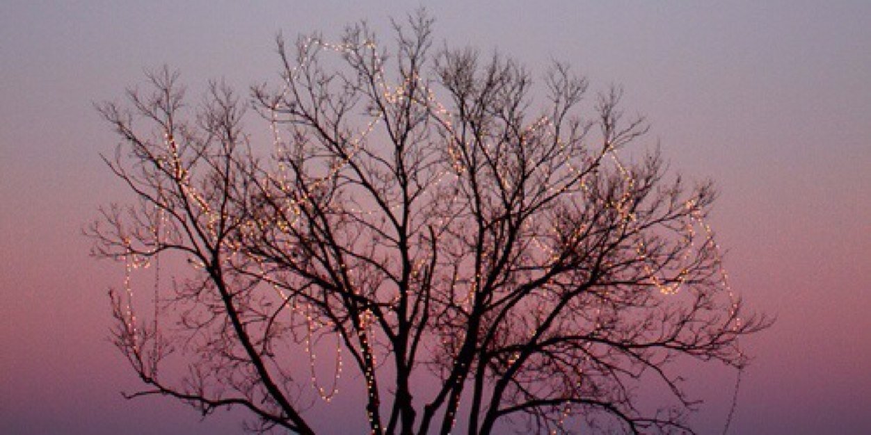 Priscaangelina's profile banner image