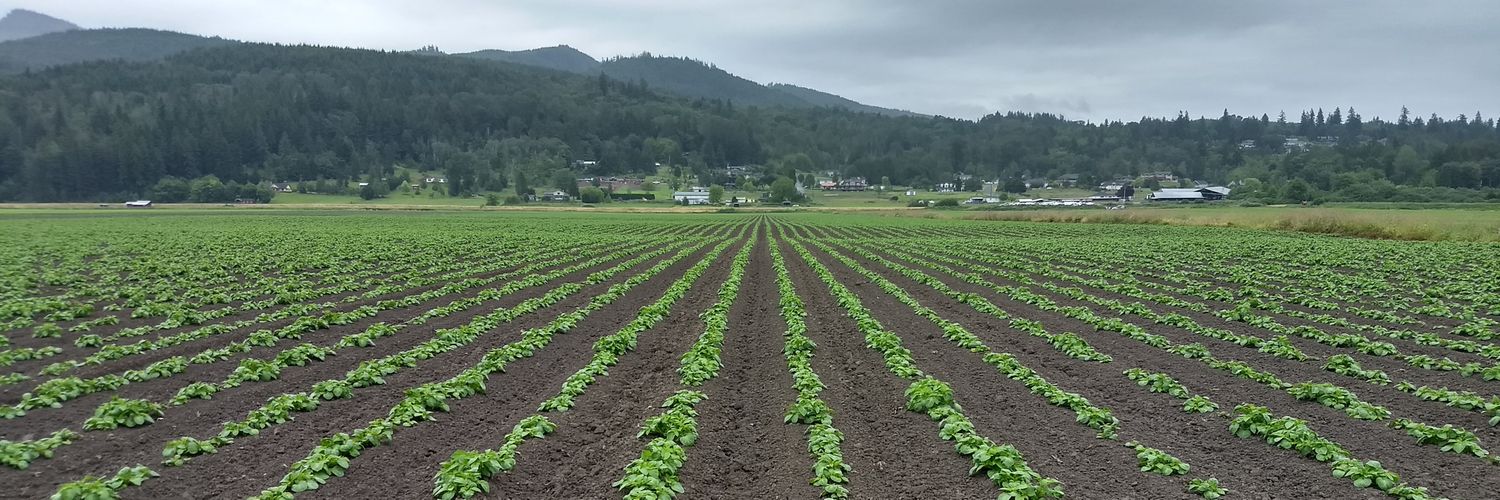 Deirdre Griffin LaHue banner