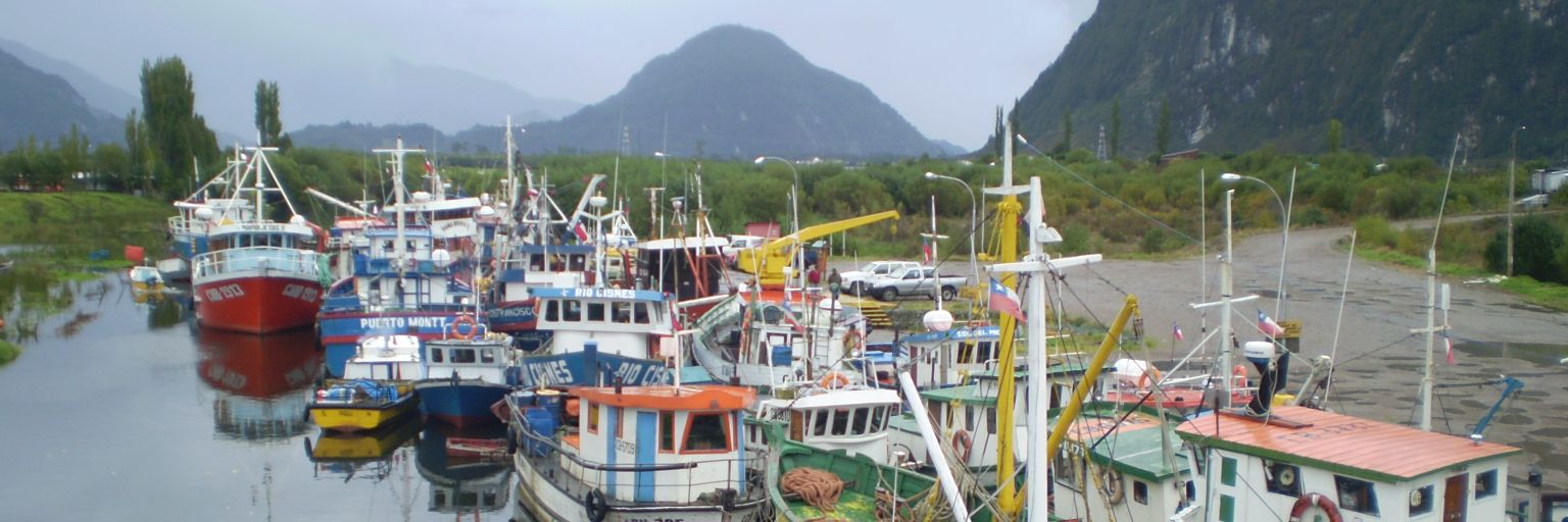 Maca Pérez banner