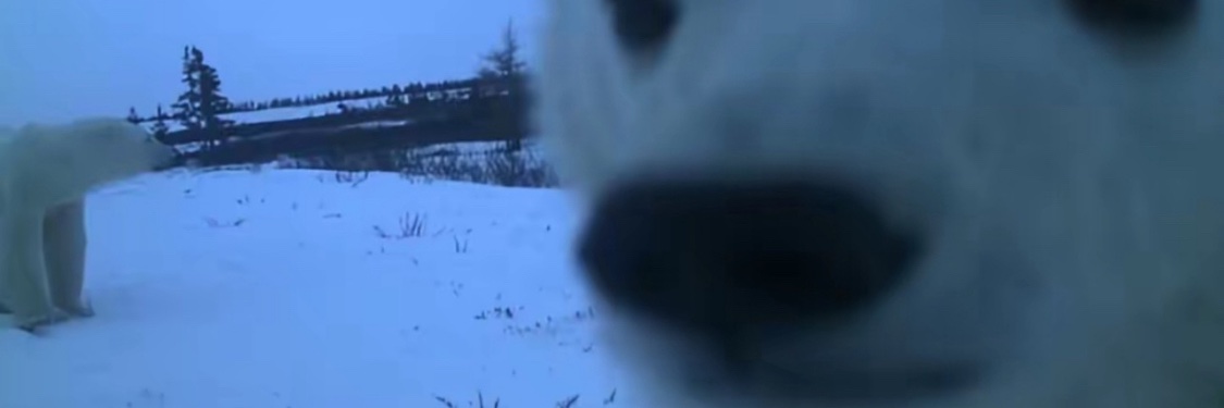 swugsyd's profile banner image