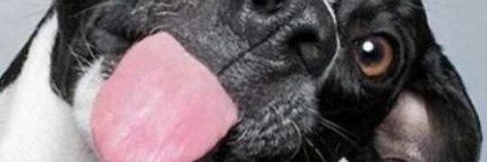 britte_kry's profile banner image