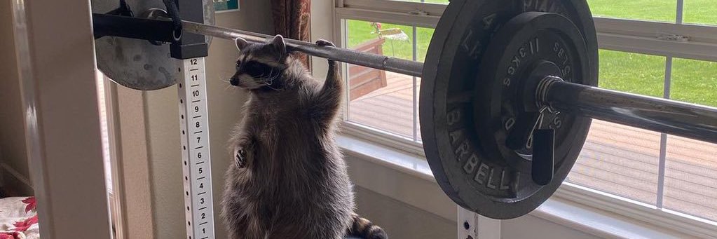 Sol Invictus Workers’ Party banner