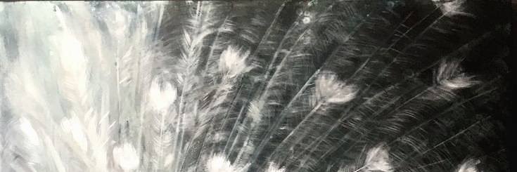 𓆸 ‍ ‍𝒀𝓞𝓝𝑮 - 𝑱𝑼 ‍ ‍ ‍ ‍ ‍ banner