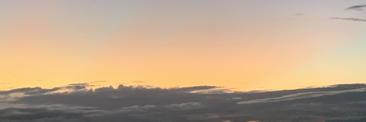 loirobrabo's profile banner image