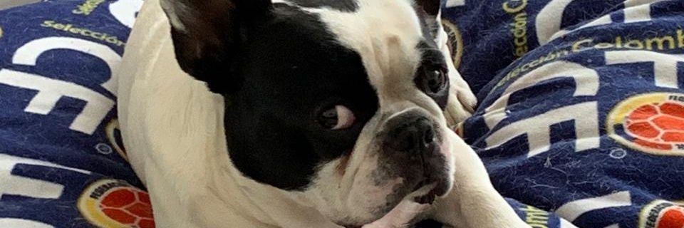 casanchezm29's profile banner image
