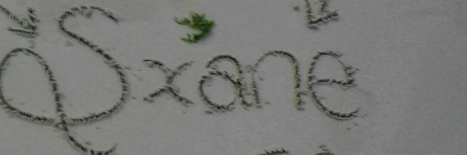 internet_dinoso's profile banner image