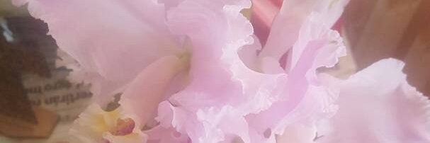 KATRINARASEC's profile banner image