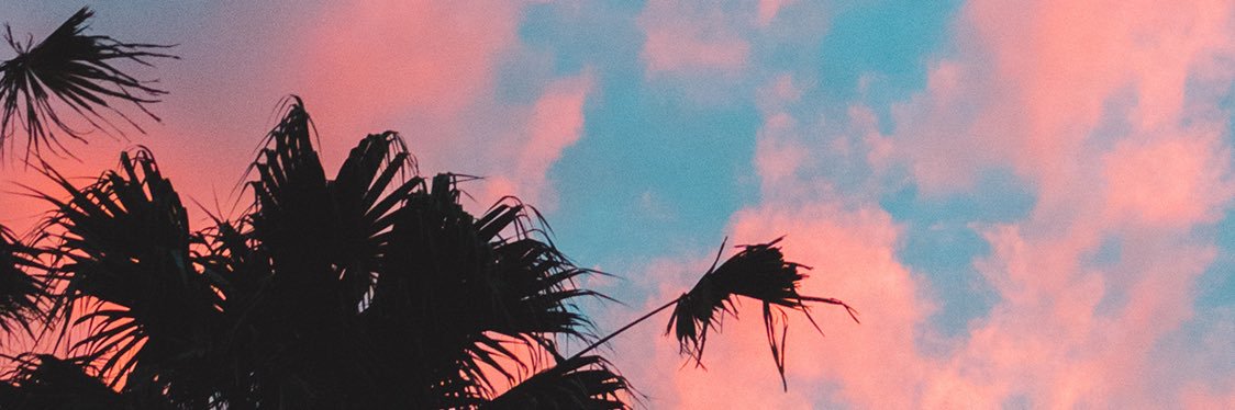 sean_stefanick's profile banner image