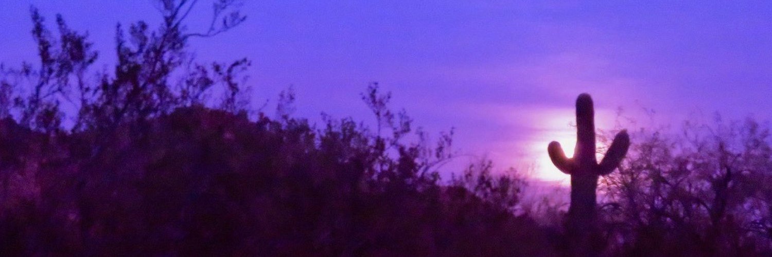 JudyWaywardmuse's profile banner image