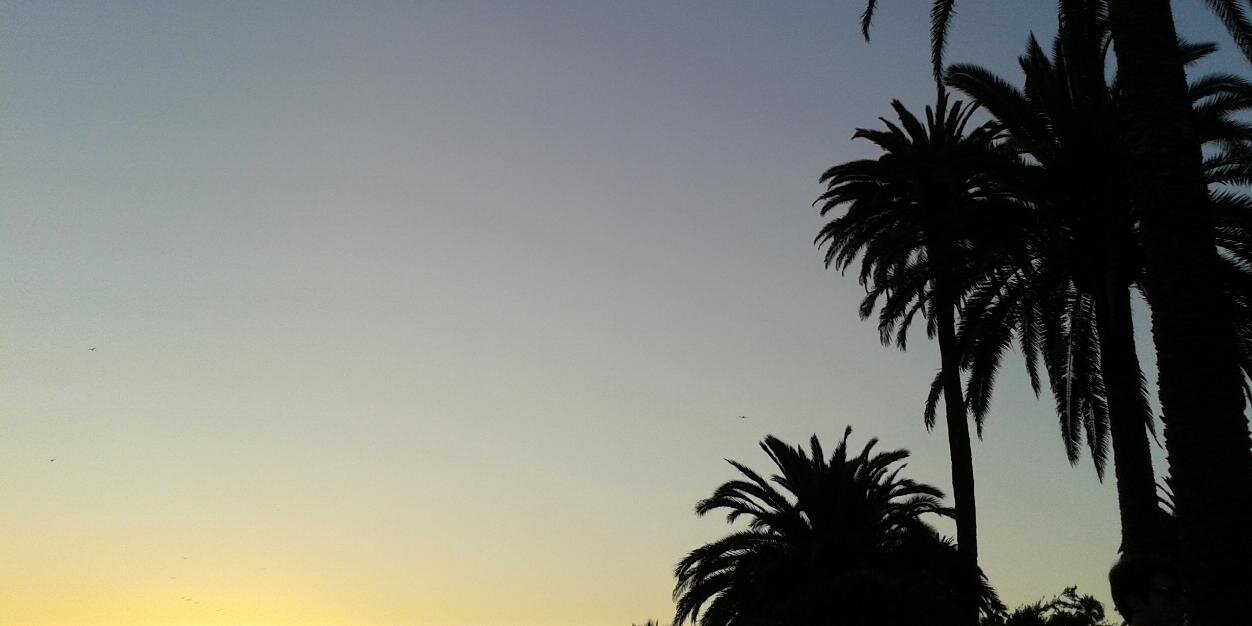 tookie698's profile banner image