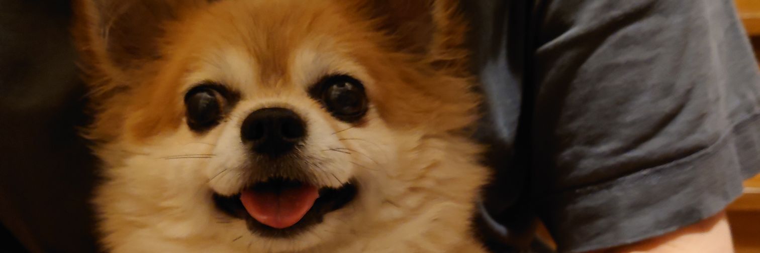趙マンハッタンしのさわ banner