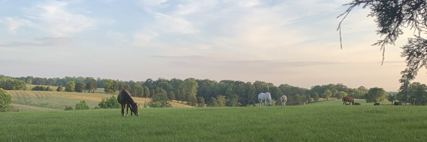 Hats banner