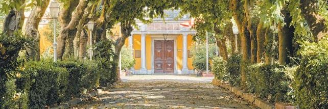 Burak Tezateser banner