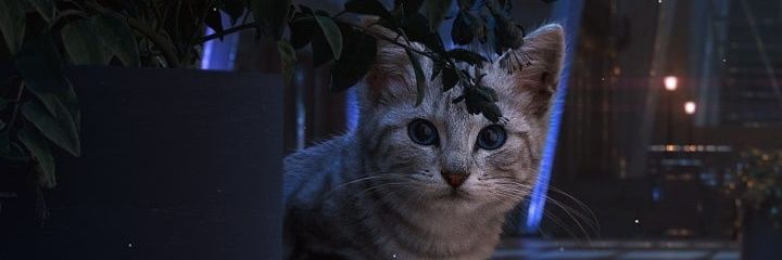 snatch banner
