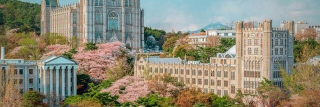 caskhlh's profile banner image