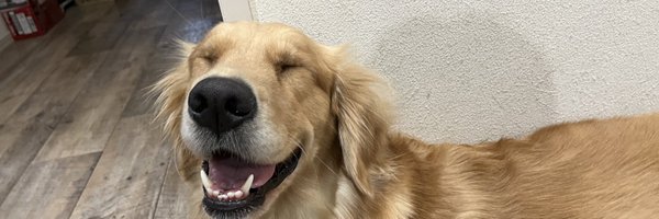 ganbareudonchan Profile Banner