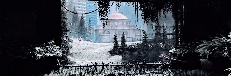 * SURVIVOR ﹗ banner