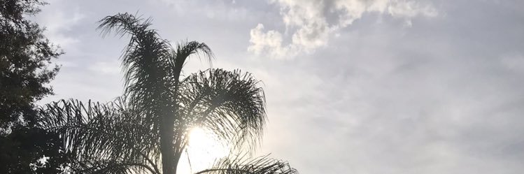 KellyKimberley's profile banner image