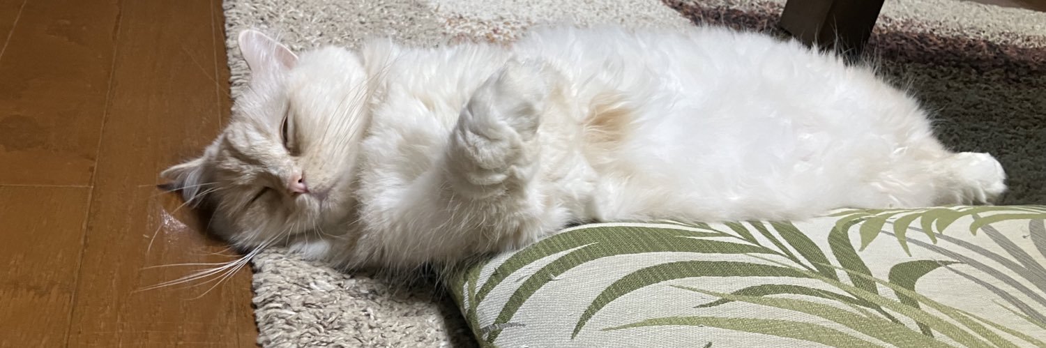 もんちゃん banner