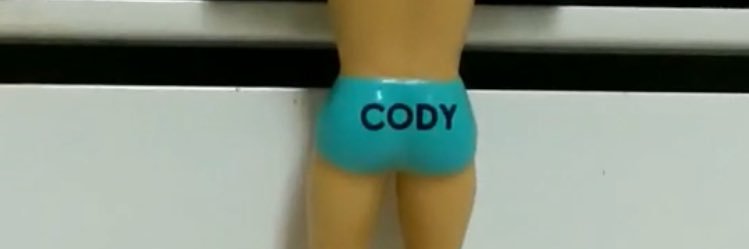 Cody Free banner