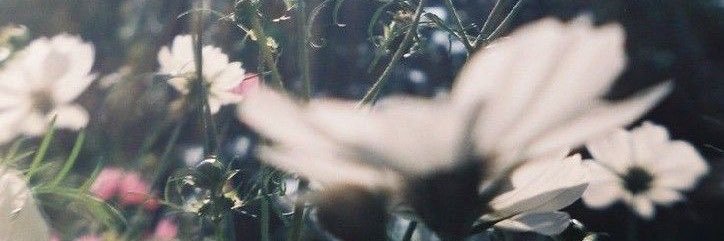 C. banner