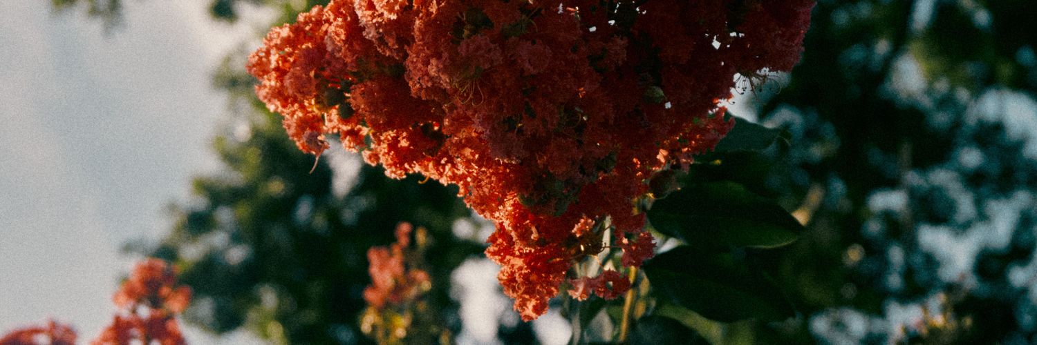 Juan Pablo Zambrano banner