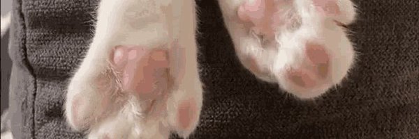 kyu_japan Profile Banner