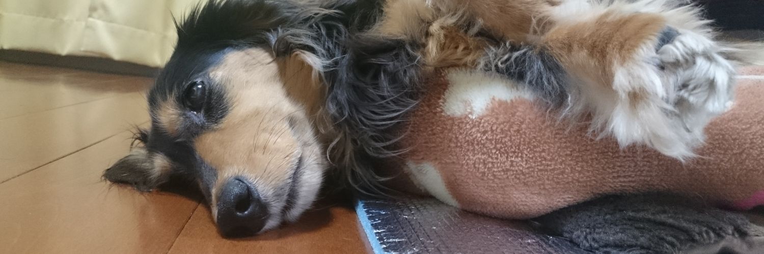 metaljericho's profile banner image